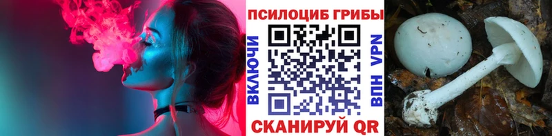 omg ссылка  Струнино  Галлюциногенные грибы Magic Shrooms 